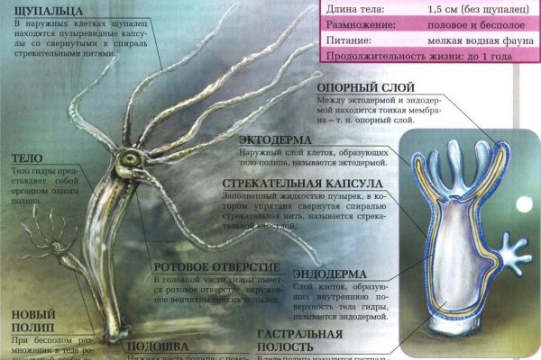 Восстановить аккаунт кракен