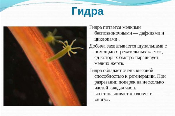 Как зайти на кракен браузеры