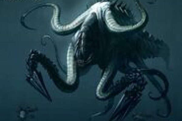 Кракен даркнет store kraken dark link