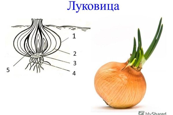Кракен даркнет официальный сайт