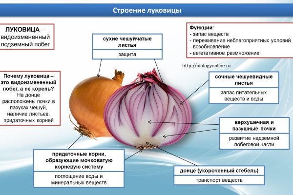 Кракен вход рабочий