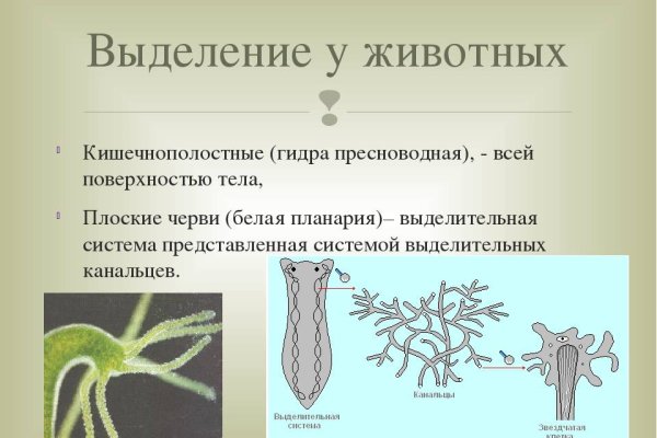 Кракен маркет что это такое