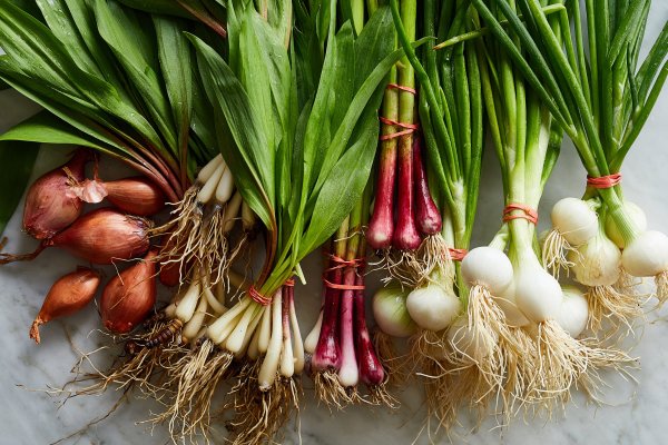 Кракен ссылка onion