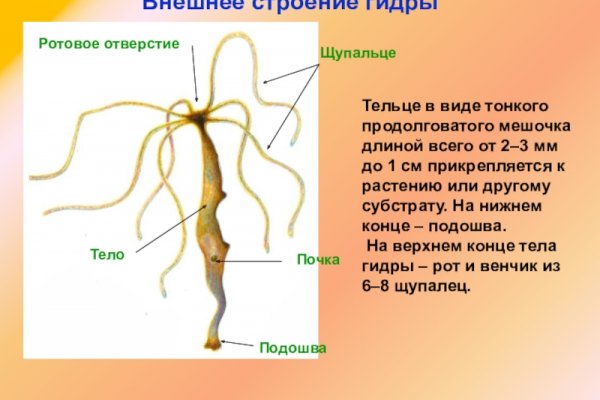 Магазин наркоты
