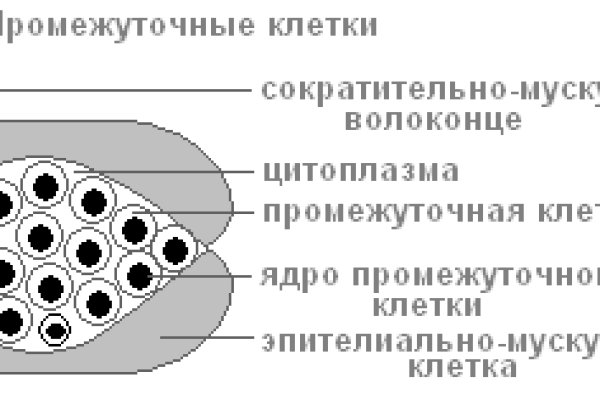 Кракен мп
