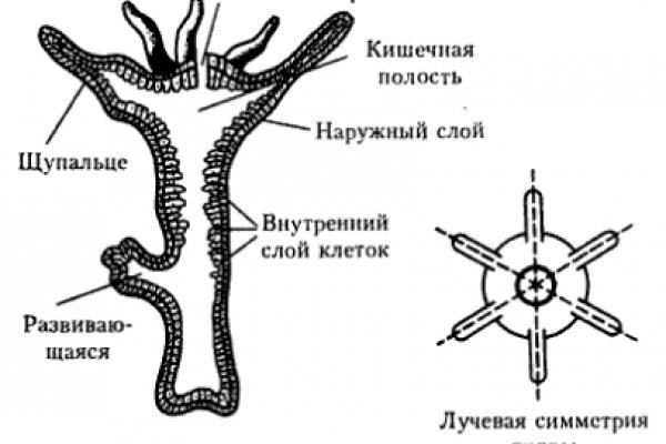 Kraken market ссылка тор