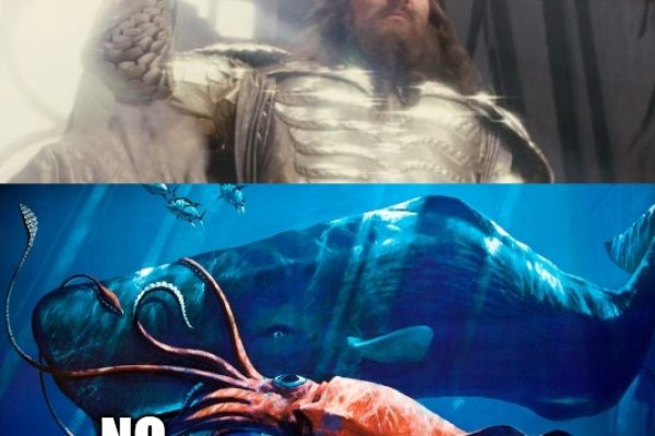 Kraken kraken link24 info