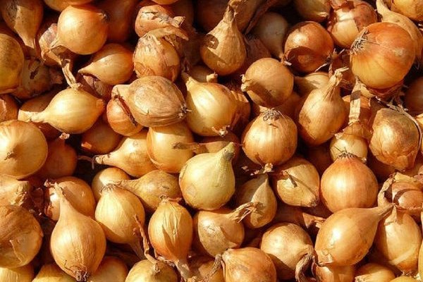 Как вывести деньги с кракена